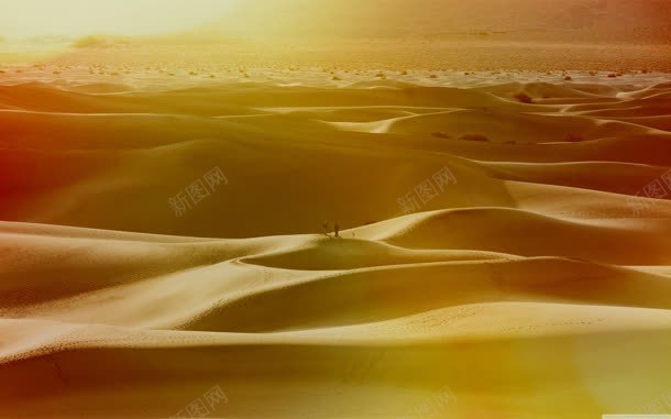 黄色梦幻荒芜的沙漠jpg设计背景_新图网 https://ixintu.com 梦幻 沙漠 荒芜 黄色
