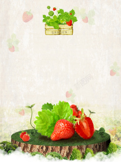 水果树夏季草莓采摘宣传海报背景高清图片