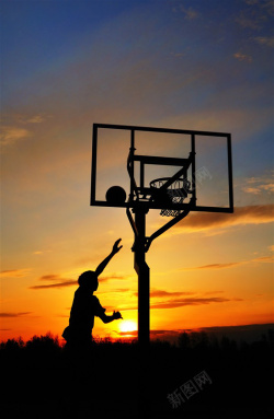 蓝球运动员打篮球的运动员高清图片