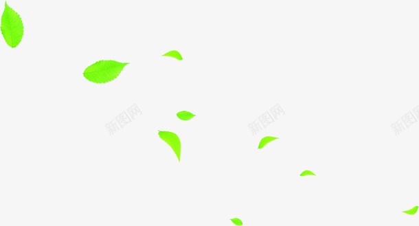 摄影活动海报绿色树叶png免抠素材_新图网 https://ixintu.com 摄影 树叶 活动 海报 绿色