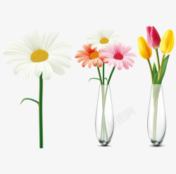 花朵与花瓶素材
