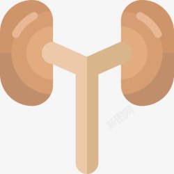 传统的医疗保健和医疗泌尿系统图标高清图片