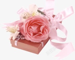 粉色花朵礼盒丝带素材