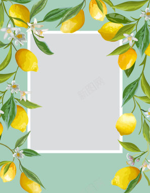 小清新柠檬叶子海报背景矢量图背景