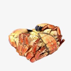 熟冻龙虾爱尔兰面包蟹高清图片
