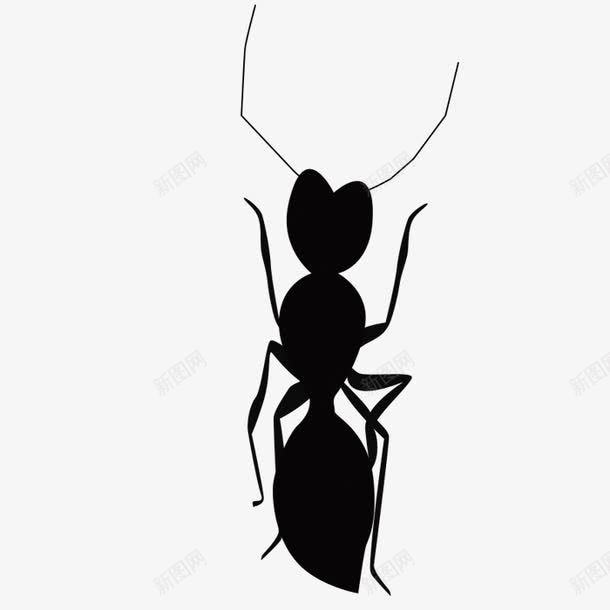 手绘蚂蚁png免抠素材_新图网 https://ixintu.com 手绘画 矢量装饰 蚂蚁 蚂蚁轮廓 装饰