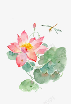 蜻蜓设计中国风水墨荷花高清图片