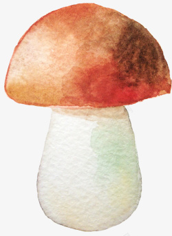 水彩画蘑菇素材