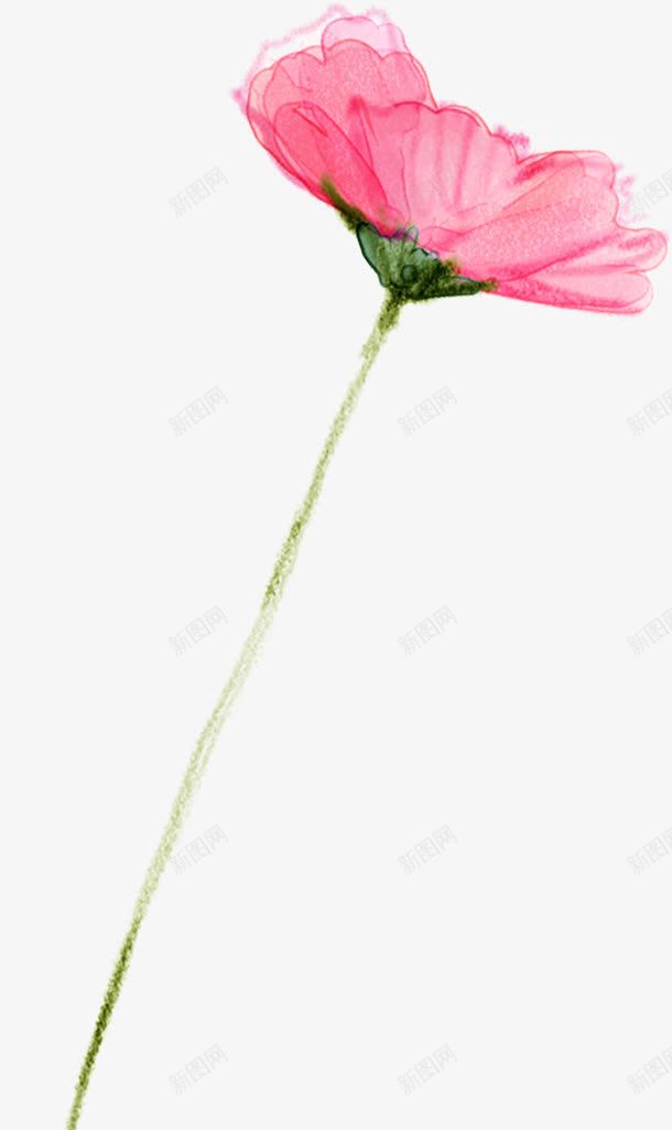 粉色花卉水彩画景观png免抠素材_新图网 https://ixintu.com 景观 水彩画 粉色 花卉