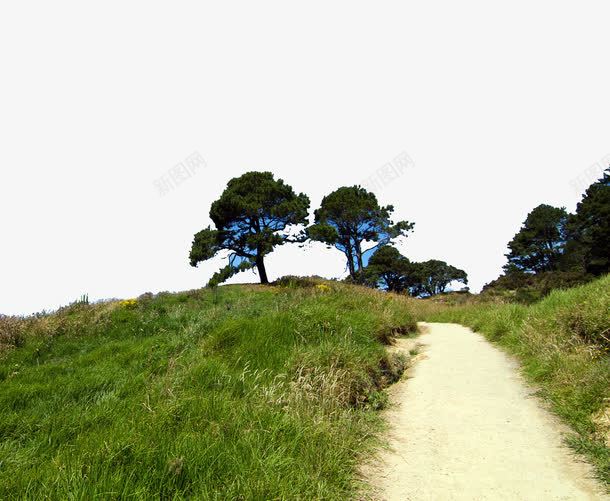 新西兰北岛风景十四png免抠素材_新图网 https://ixintu.com 名胜古迹 旅游风景 著名建筑