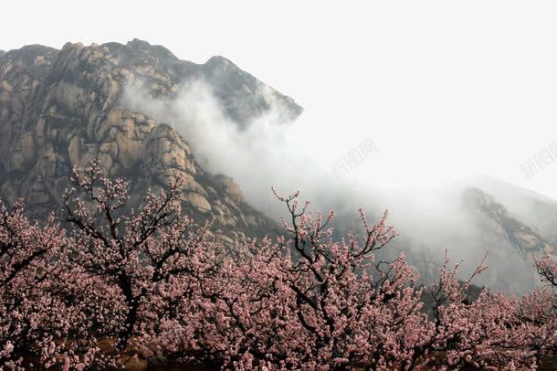 唯美北京凤凰岭png免抠素材_新图网 https://ixintu.com 凤凰岭 唯美 旅游景区 著名景点