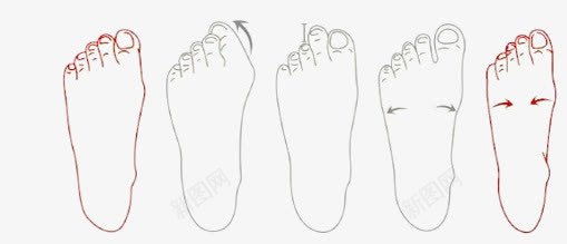 不同的脚型png免抠素材_新图网 https://ixintu.com 手绘 脚型 脚趾头 足部