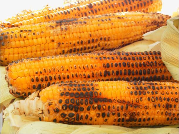烤熟的玉米png免抠素材_新图网 https://ixintu.com 农作物 烤熟的玉米棒子 玉米 食物