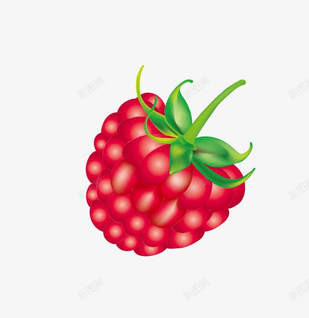 红色树莓png免抠素材_新图网 https://ixintu.com 手绘 果实 树莓 水果 食物