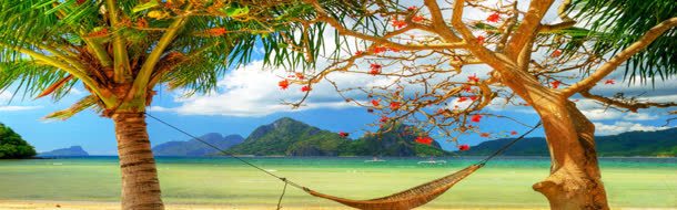 夏威夷风情淘宝海报背景背景