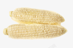 两根儿嫩白的大玉米棒两根儿白玉米棒儿高清图片