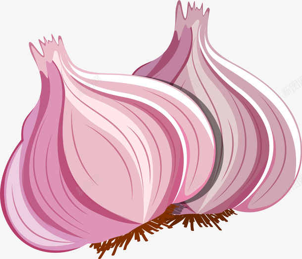 卡通手绘粉色洋葱png免抠素材_新图网 https://ixintu.com 创意 动漫动画 卡通手绘 粉色洋葱 艺术 食物