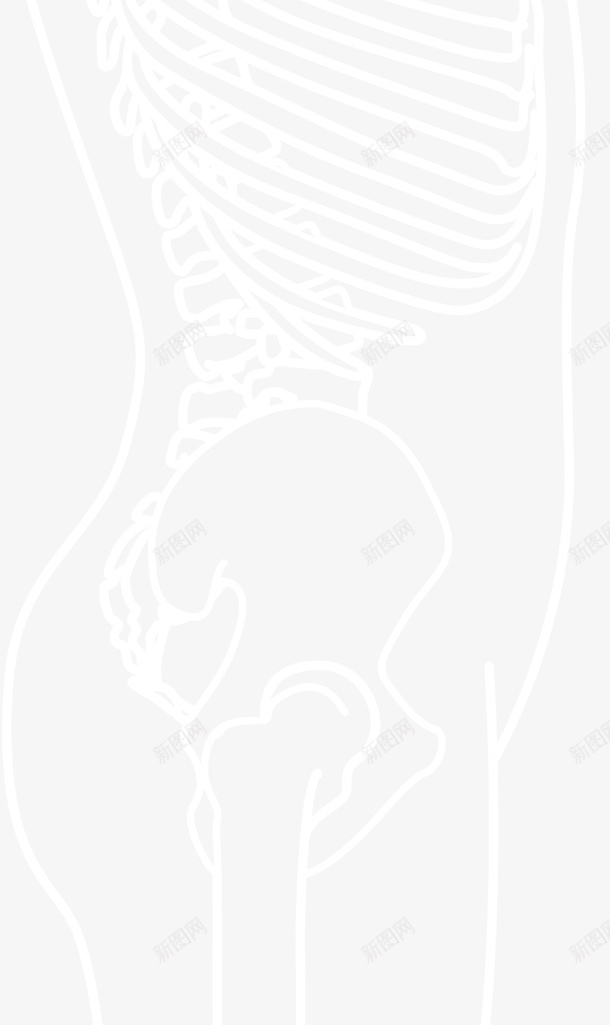 白色侧面人体骨骼矢量图eps设计背景_新图网 https://ixintu.com 人体 人类的骨头 人类骨骼 侧面 侧面骨骼 白色骨骼 骨骼 矢量图