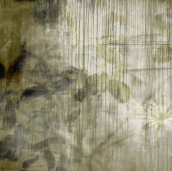 朦胧花卉艺术展朦胧的绿叶背景高清图片