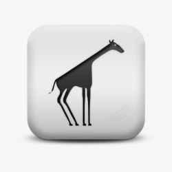 giraffe不光滑的白色的广场图标动物动物高清图片
