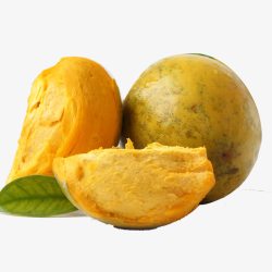 营养果子营养水果蛋黄果高清图片