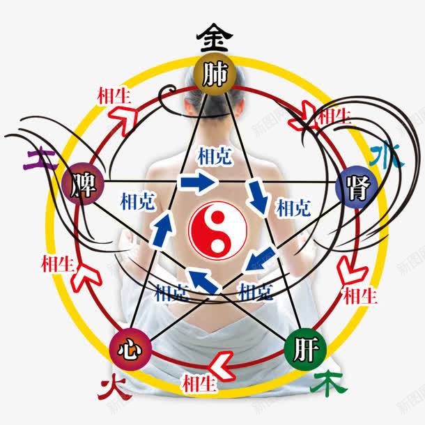 中医养生png免抠素材_新图网 https://ixintu.com 中医 中医元素 养生 医理