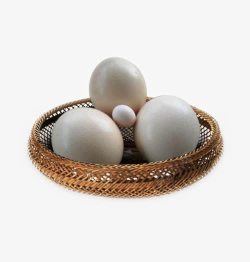 大鸟蛋鸵鸟蛋鸡蛋儿高清图片
