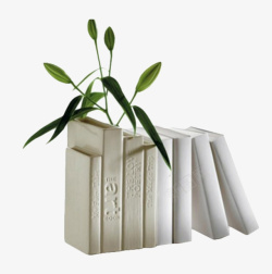 植物摆饰白色书籍的摆饰实物高清图片