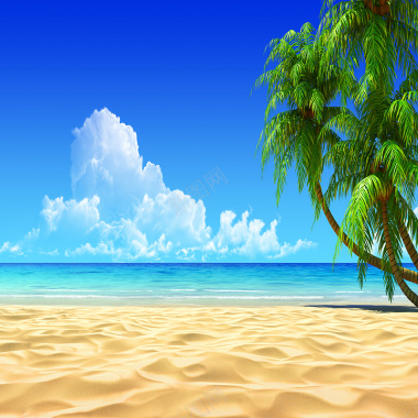 沙滩椰子树背景摄影图片
