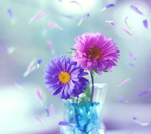 粉色紫色花朵花瓣jpg设计背景_新图网 https://ixintu.com 粉色 素材 紫色 花朵 花瓣