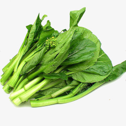 新鲜白菜白菜苔新鲜的高清图片