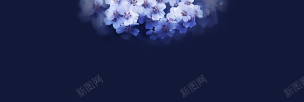 梦幻花朵背景bannerjpg设计背景_新图网 https://ixintu.com banner 梦幻 背景 花朵