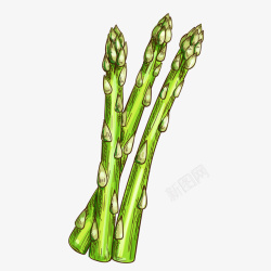 长条竹笋卡通手绘绿色植物矢量图高清图片