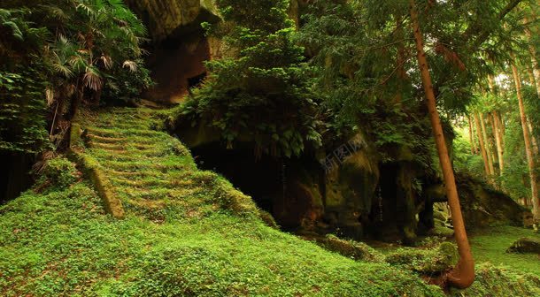 山林间的林荫小道背景