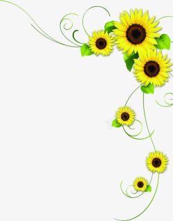 黄色中国风边框手绘黄色向日葵花朵边框装饰高清图片