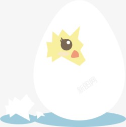 孵出鸡蛋鸡蛋孵化高清图片