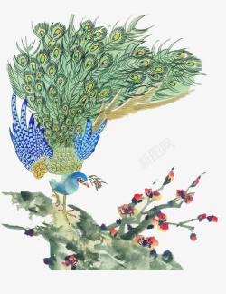 水墨孔雀中国风水彩工笔孔雀高清图片