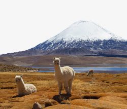 安第斯山脉著名南美洲安第斯山脉高清图片