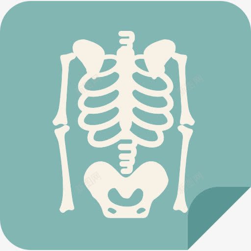 X射线图标png_新图网 https://ixintu.com X射线 医疗 骨头 骨架