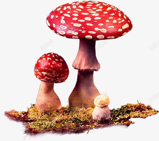 黄点红色卡通蘑菇png免抠素材_新图网 https://ixintu.com 卡通 红色 蘑菇