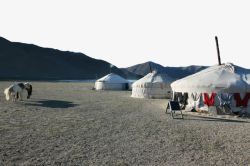牧犬草原蒙古包高清图片