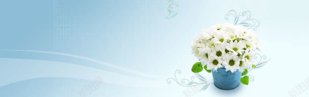 白色清新唯美背景bannerjpg设计背景_新图网 https://ixintu.com banner 唯美 清新 白色 背景