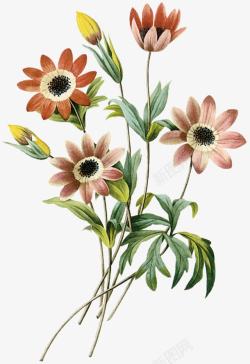 创意扁平手绘花卉植物向日葵素材