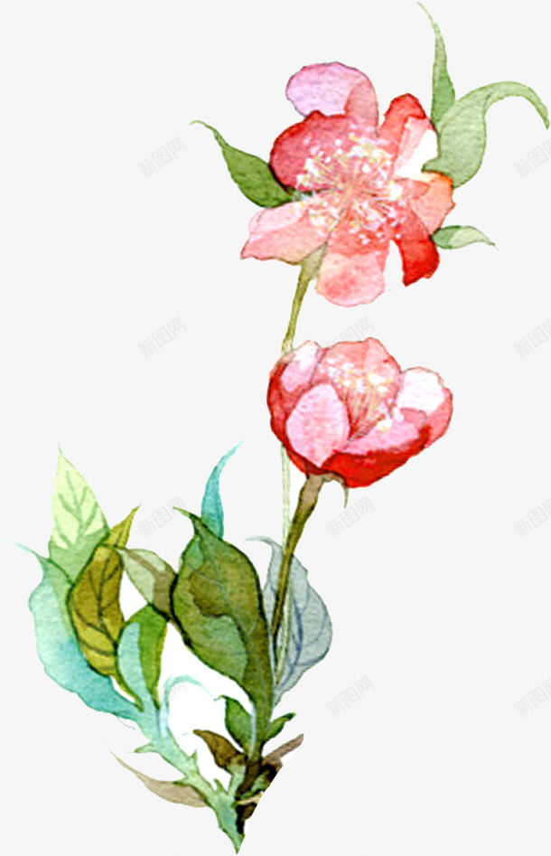 쿨ֻͨ