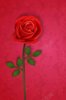 大气高贵红色玫瑰花背景矢量图背景