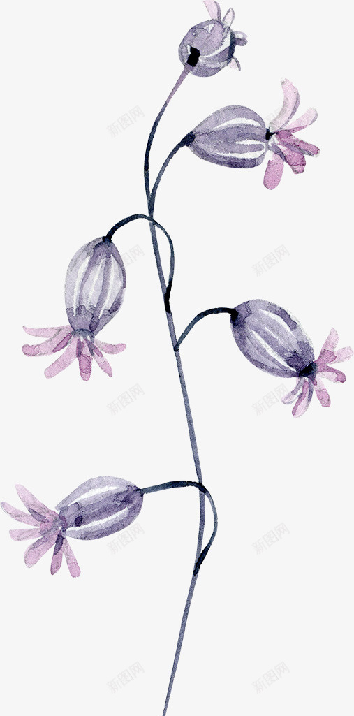 手绘紫色鲜花图png免抠素材_新图网 https://ixintu.com 创意 卡通手绘 小清新 植物 水彩 粉色 花卉 鲜花