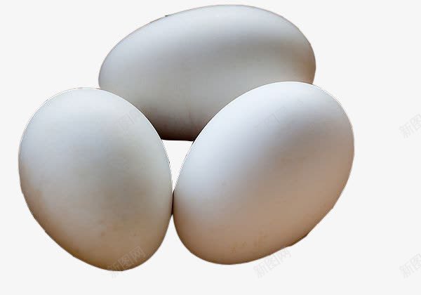 三个鹅蛋png免抠素材_新图网 https://ixintu.com 大大的 营养好 蛋蛋 鹅蛋