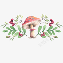水彩小蘑菇手绘水彩小蘑菇高清图片