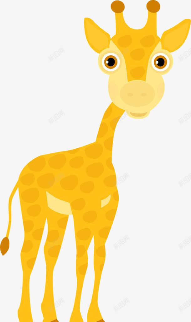 可爱长颈鹿png免抠素材_新图网 https://ixintu.com 动物园 可爱 野生动物园 长颈鹿 非洲