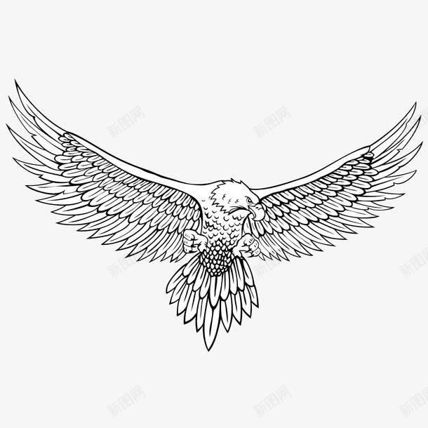 手绘老鹰png免抠素材_新图网 https://ixintu.com 手绘 素描 老鹰 老鹰图腾
